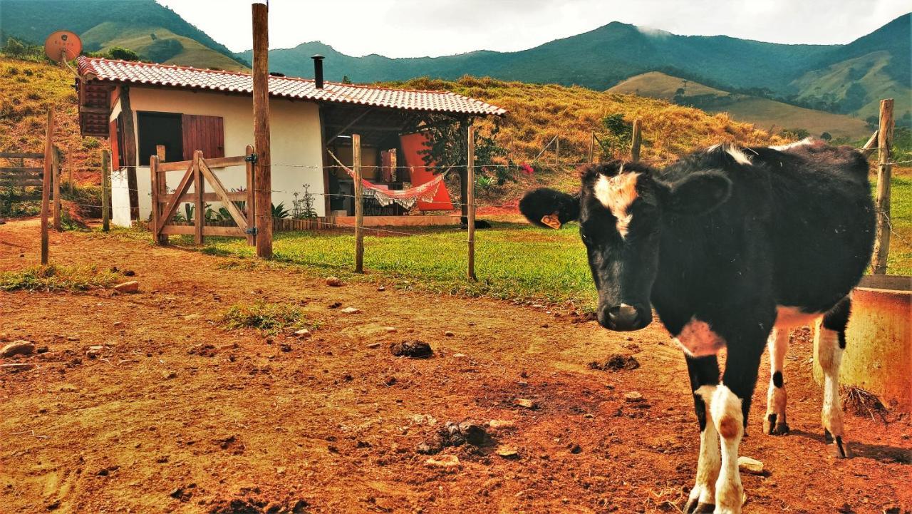 فيلا Quinta Do Papagaio بوسو ألتو المظهر الخارجي الصورة